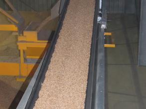 Perry of Oakley store filling conveyor